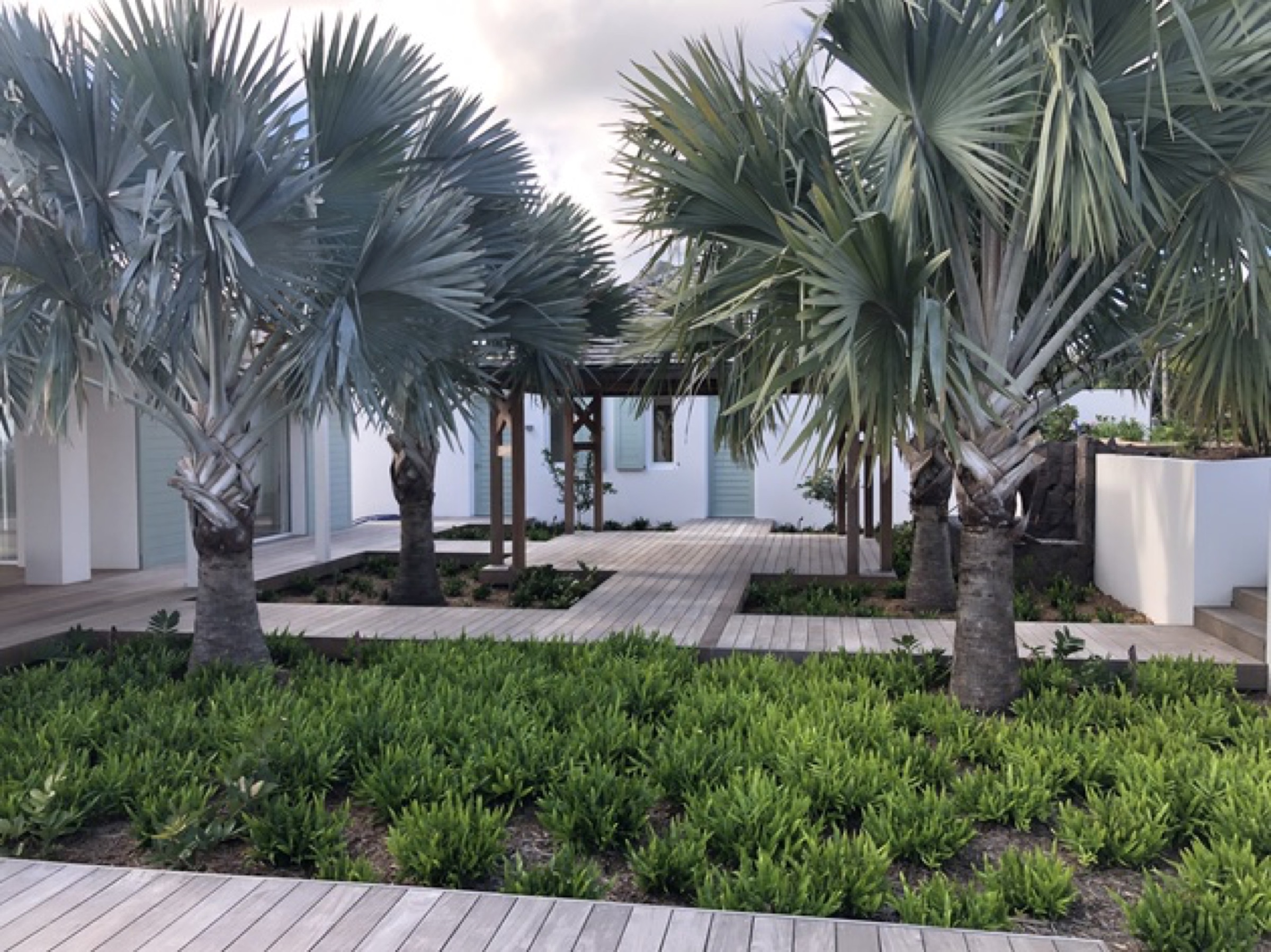 Villa DMJ — jardin