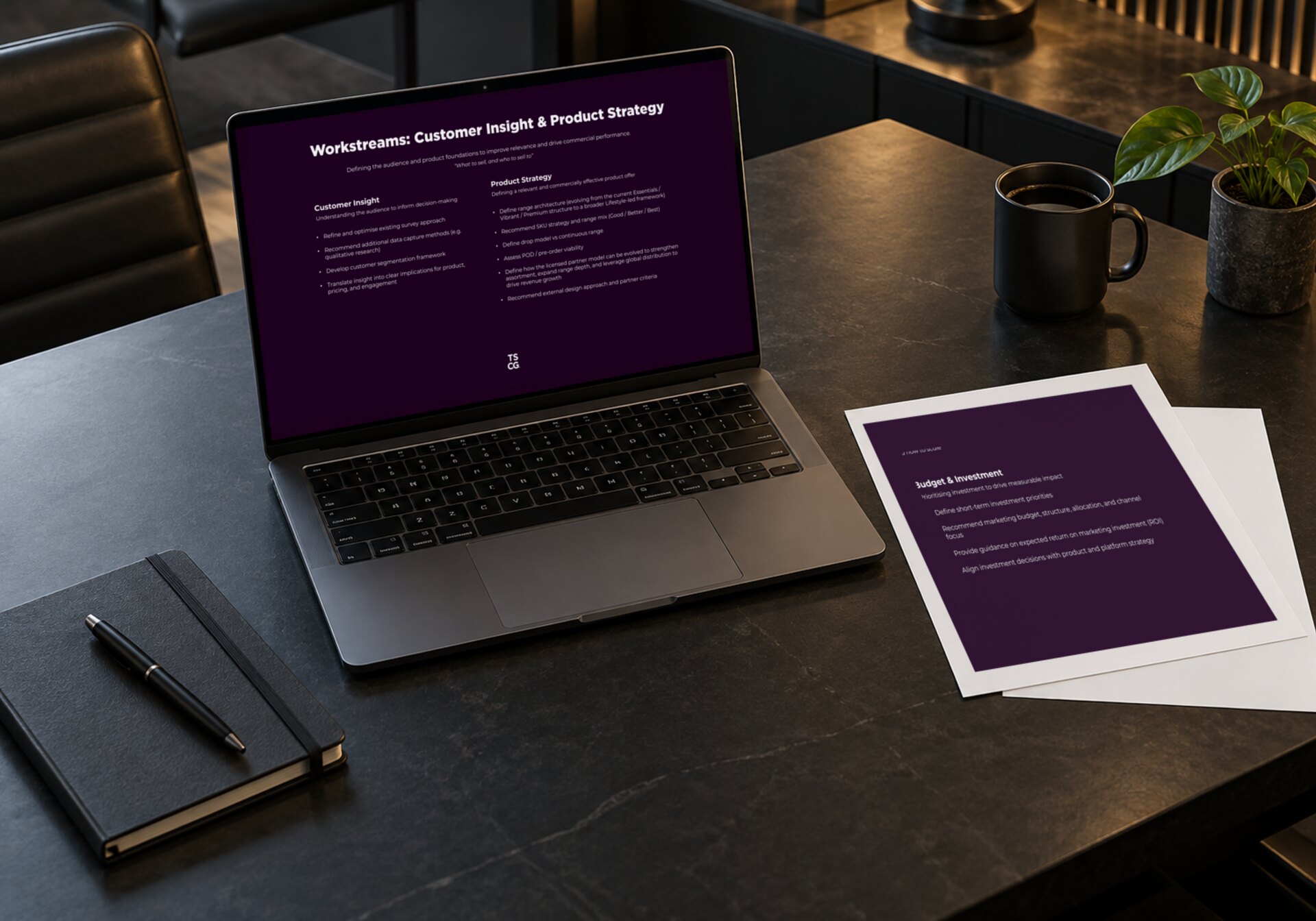Strategy workbench featuring TSCG customer insight, product strategy and investment planning materials.