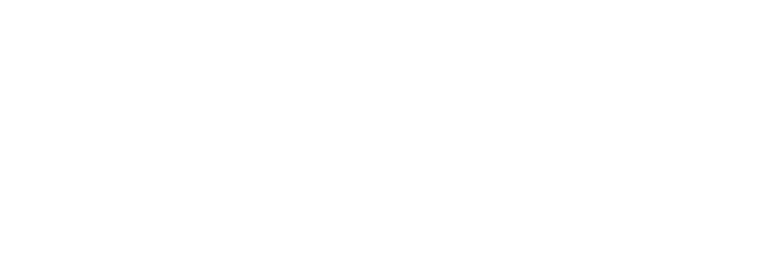 Lead Ventures logo