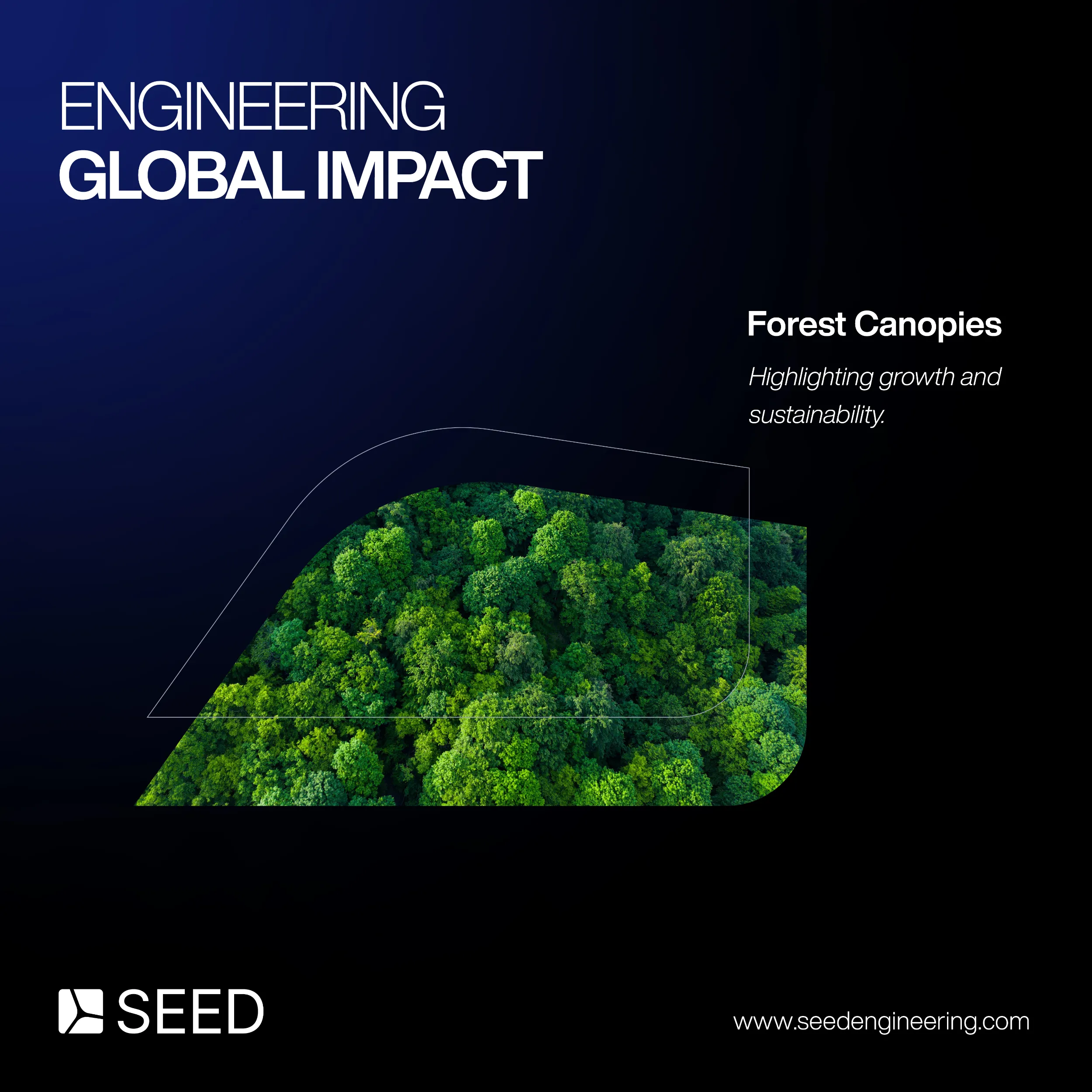 Seed Engineering social post