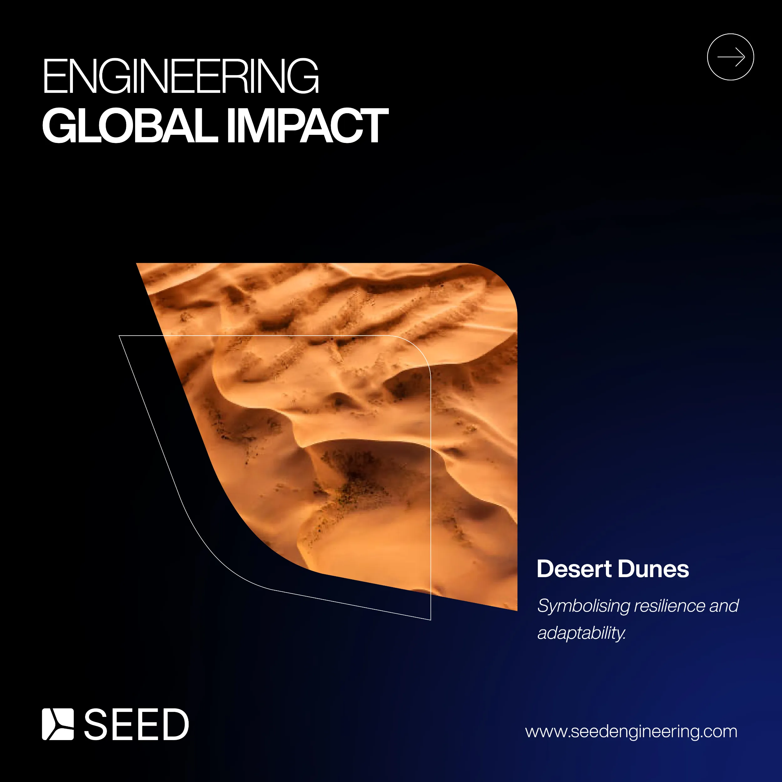Seed Engineering social post