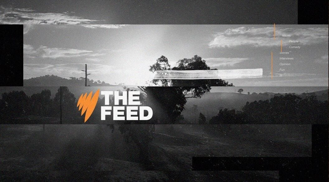 The Feed