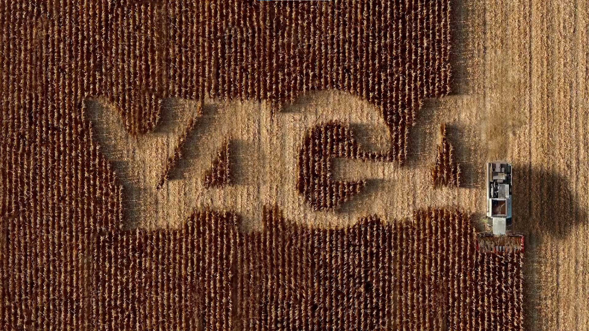 Yaga