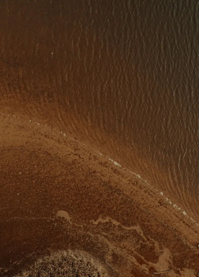 Aerial view of brown terrain