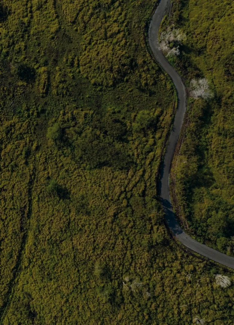 Aerial view of a road winding through forest