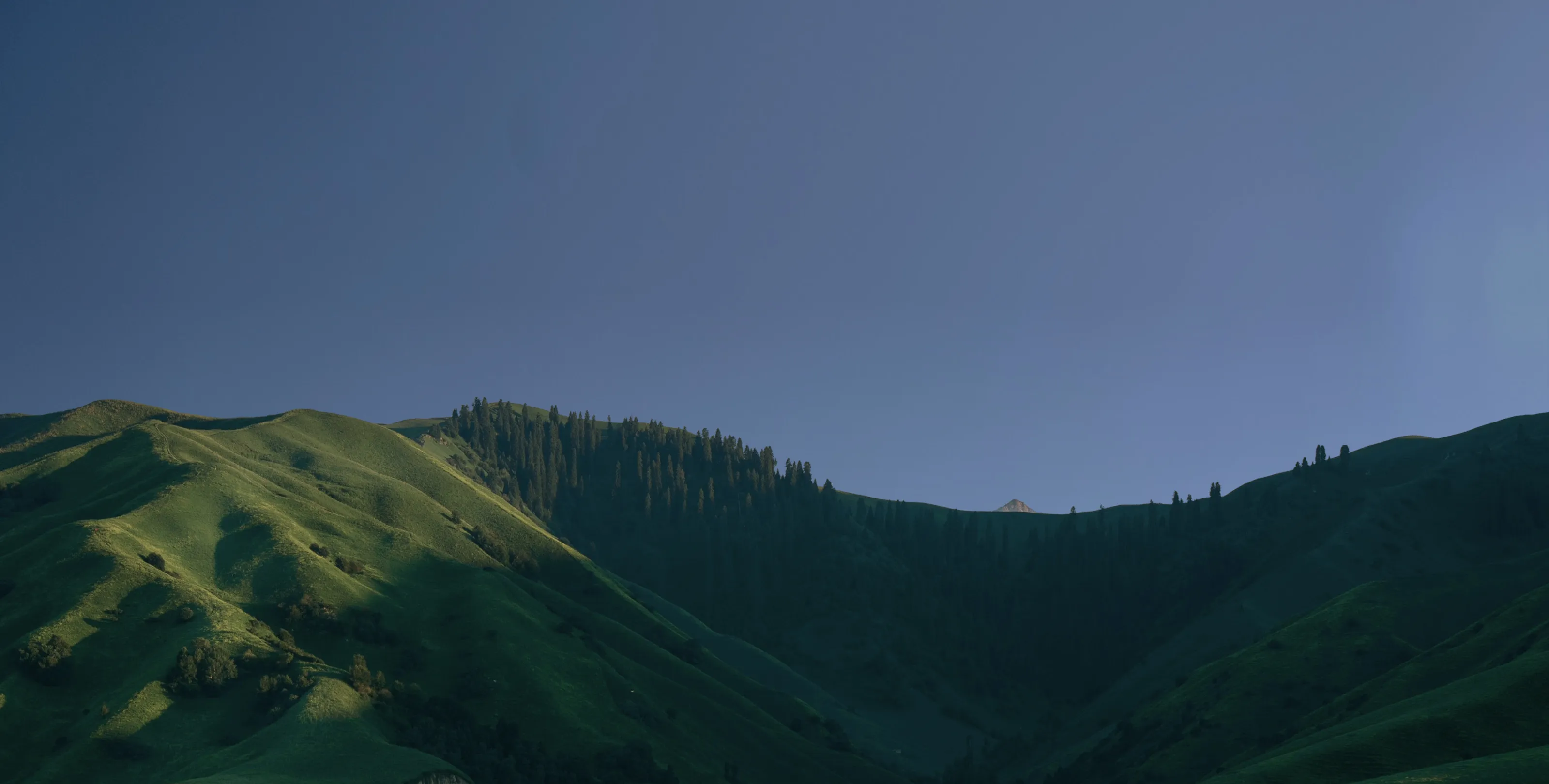 Rolling green hills in low evening light