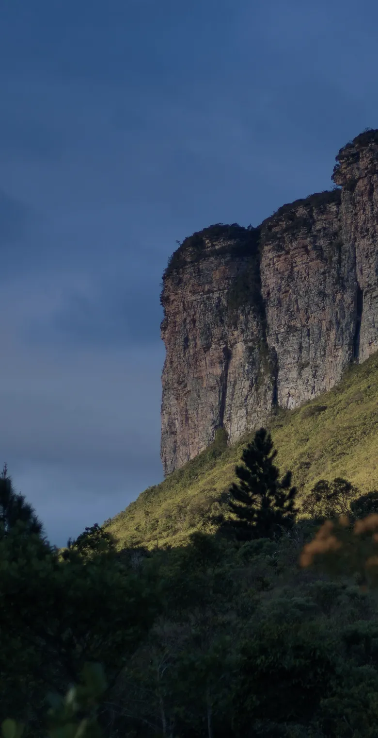 Cliff rising over a green slope