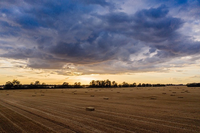 Climate and resilience: working for the future of agriculture
