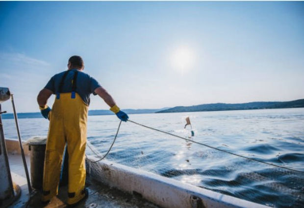 Consuming locally produced food: trends