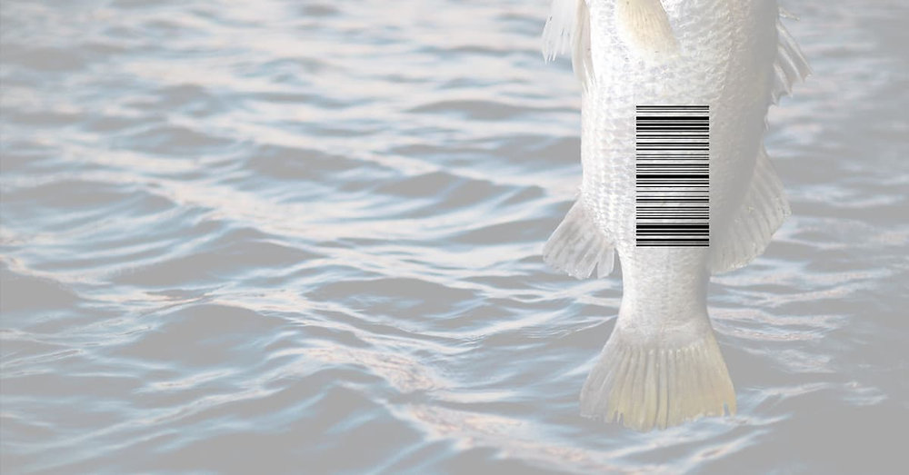 Traceability in Retail