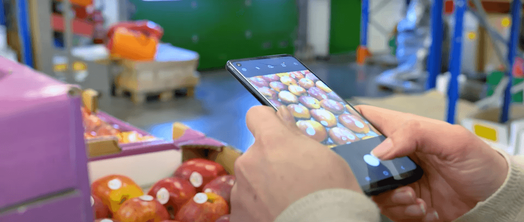 Digital transformation: more than a trend, a priority