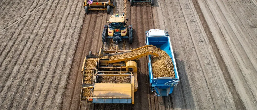 The introduction of Consentio has positioned us as a cutting-edge leader in the industry.", discover Alsum Farms & Produces testimonial!