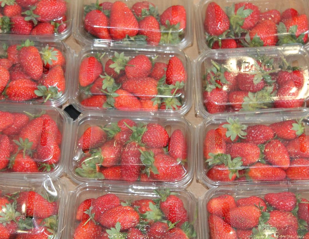 Fruits & Vegetables: packaging and regulations