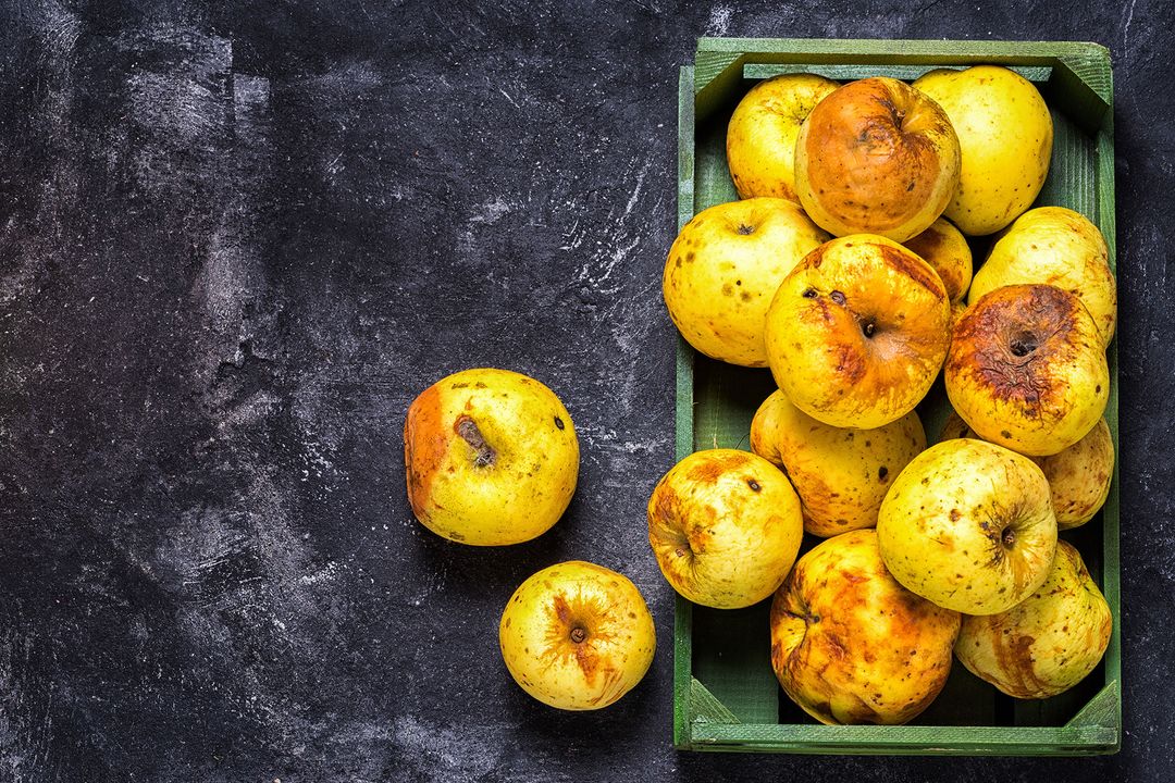 Food waste: the big deal