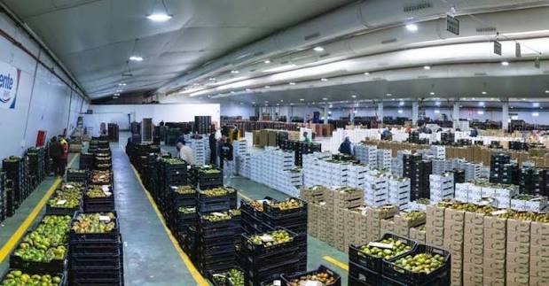 Agroponiente logistics warehouse with aisles of stacked crates and staff at work