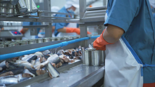Seafood handling at Ultra Marine