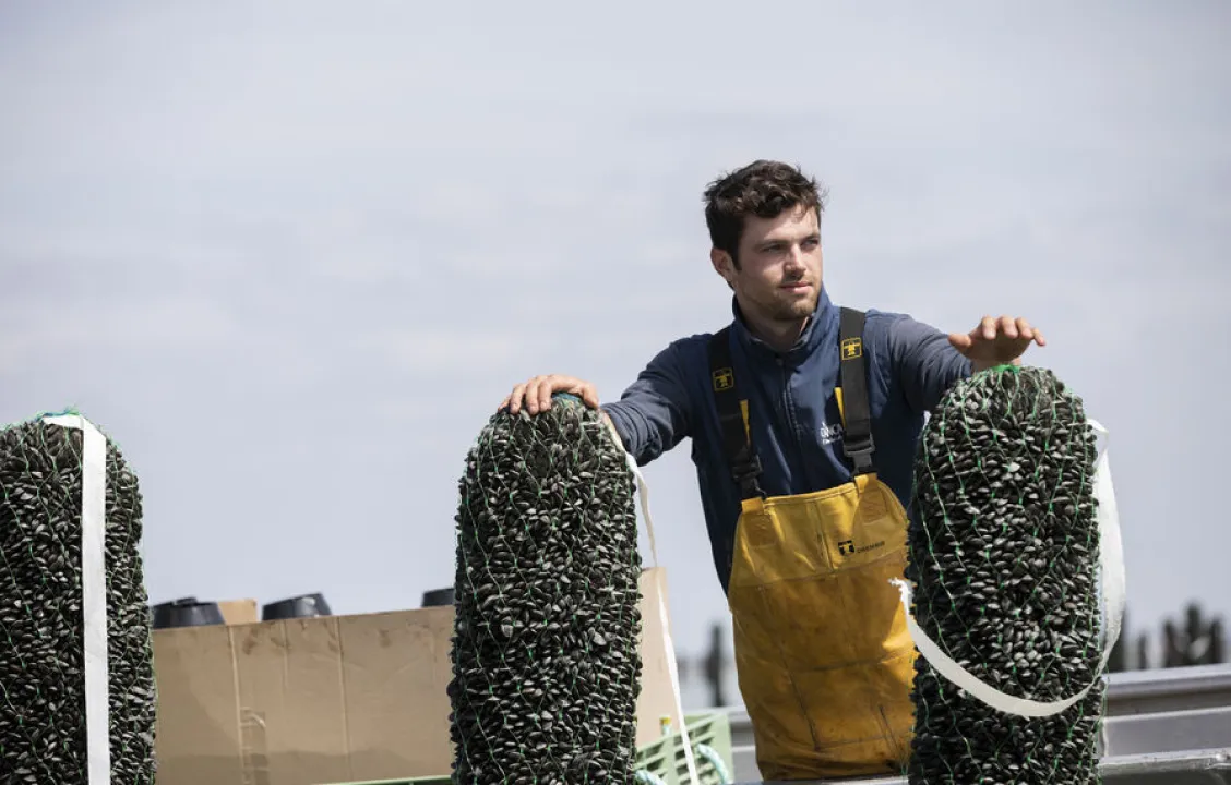 Producción y aprovisionamiento electrónico de mejillones Mytilimer