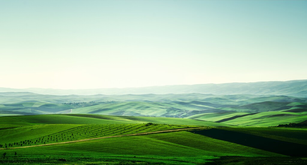 Rolling green farmland and hills at sunrise