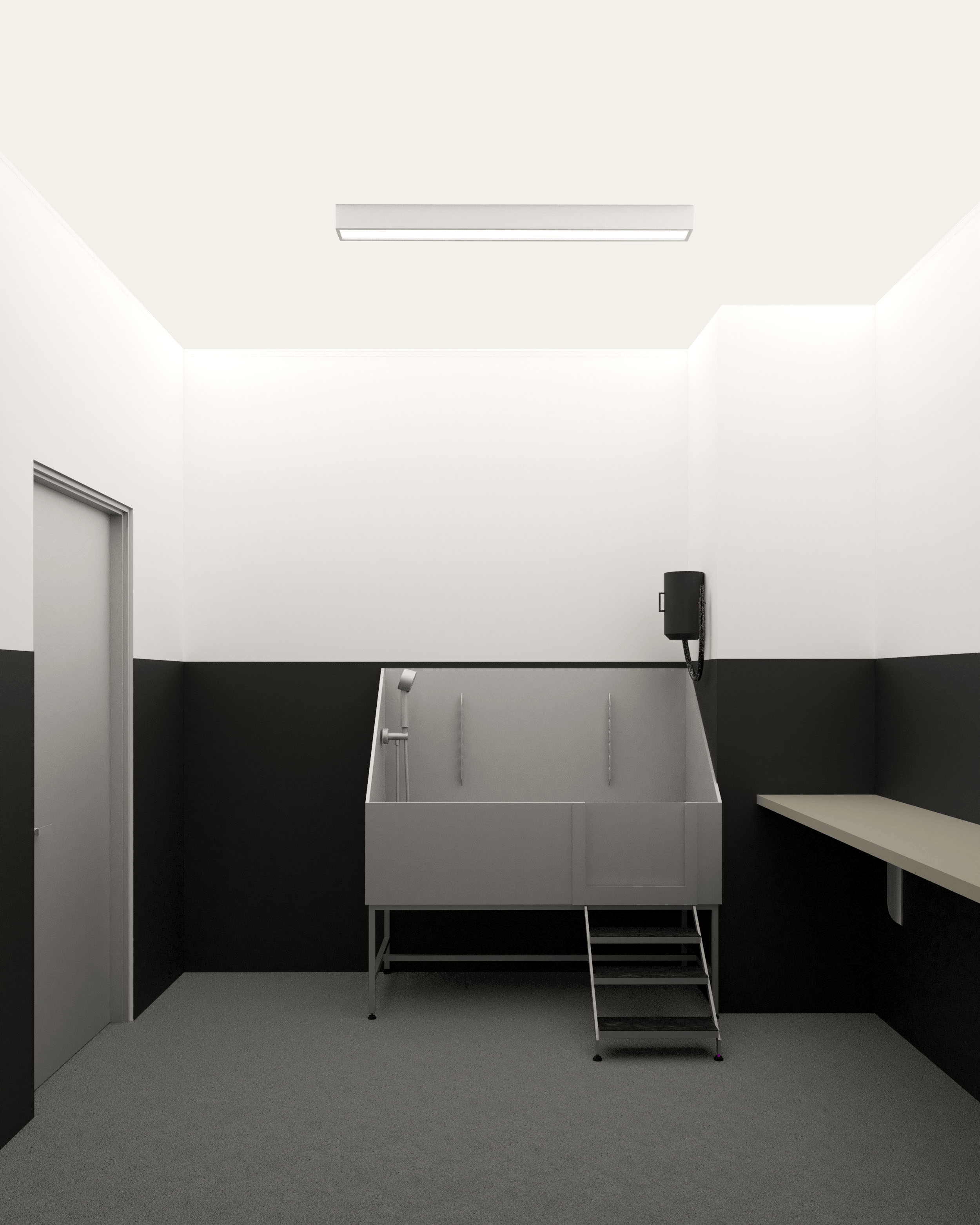Pet wash rendering