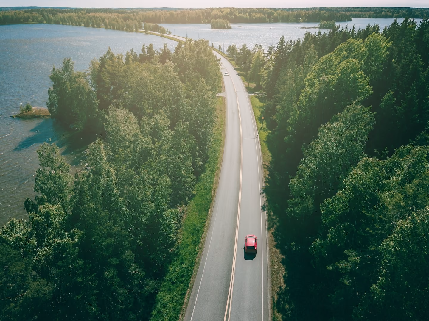 Ariel view of forest and road