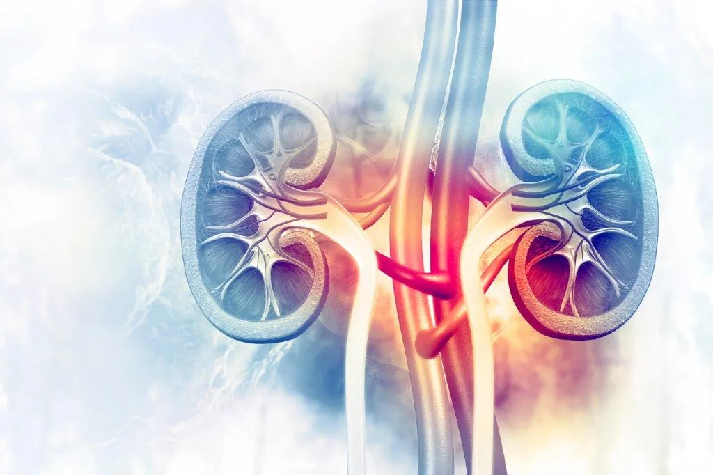 Living Well with Chronic Kidney Disease