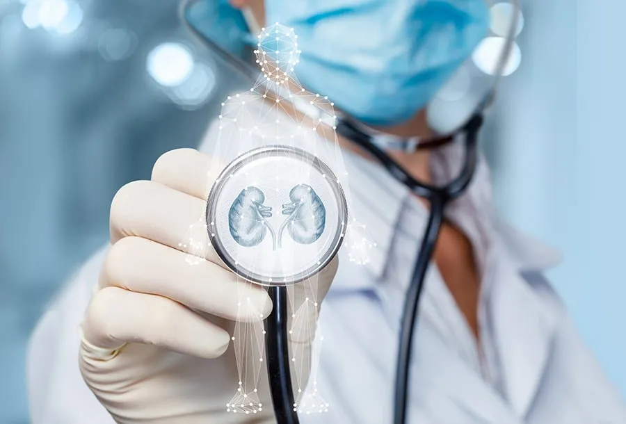 A Collection of Kidney Health Insights