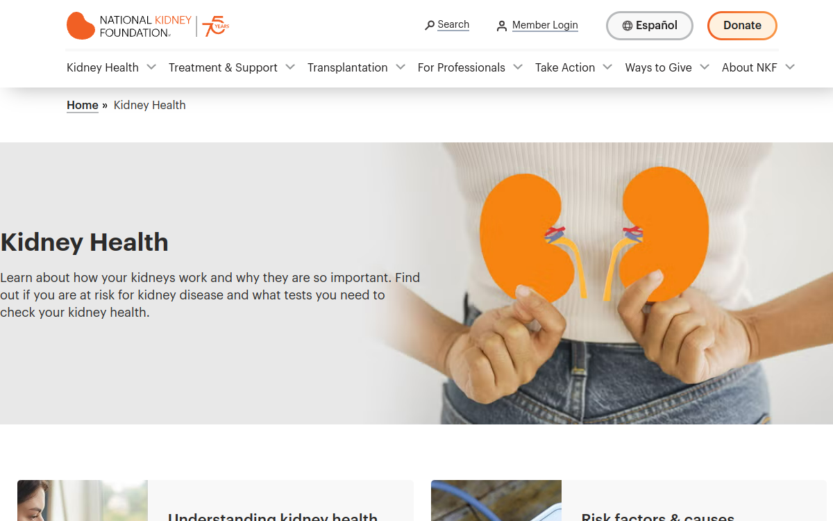 Kidney Health Information
