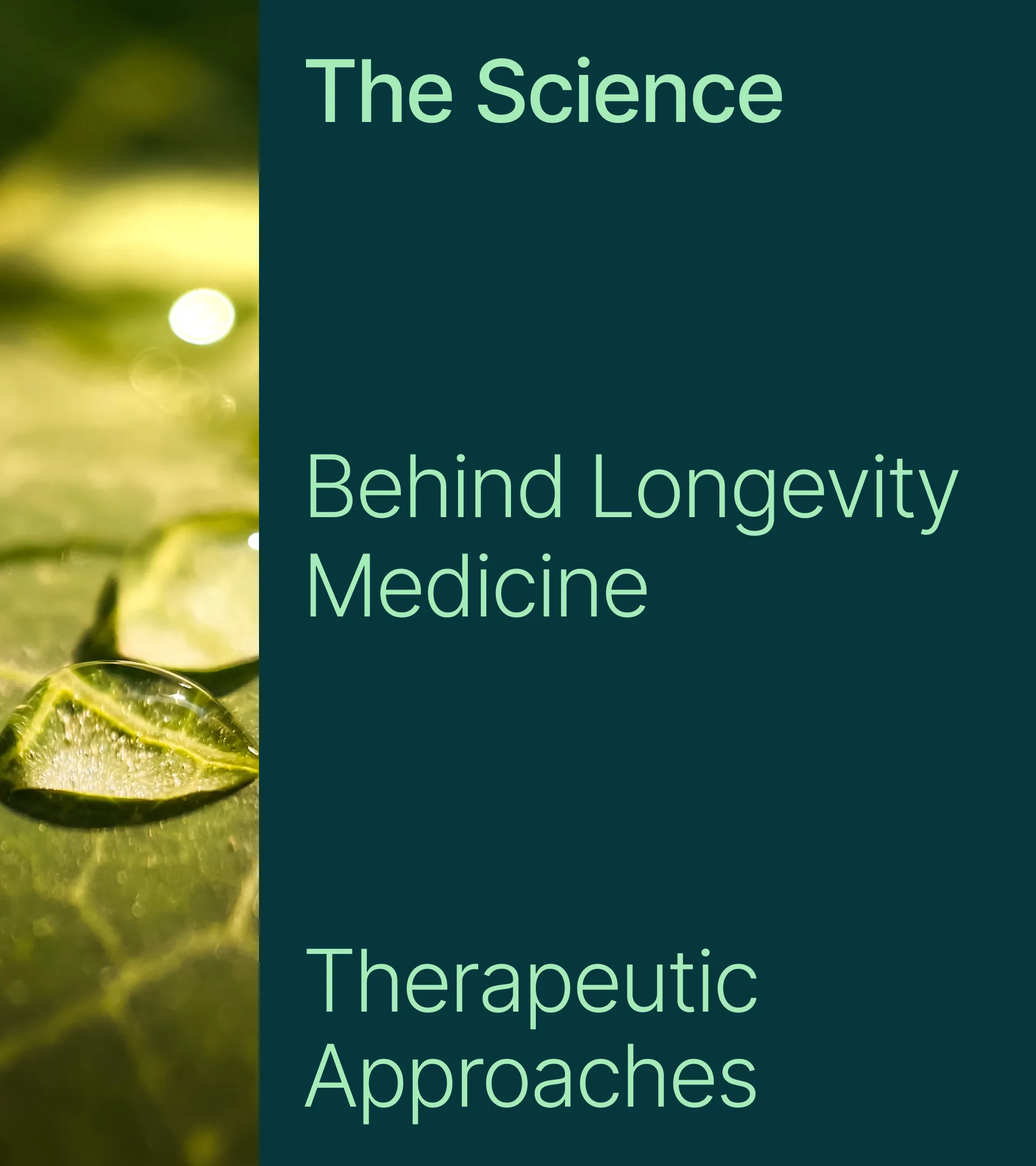 Deck pages: The Science, Behind Longevity Medicine, Therapeutic Approaches