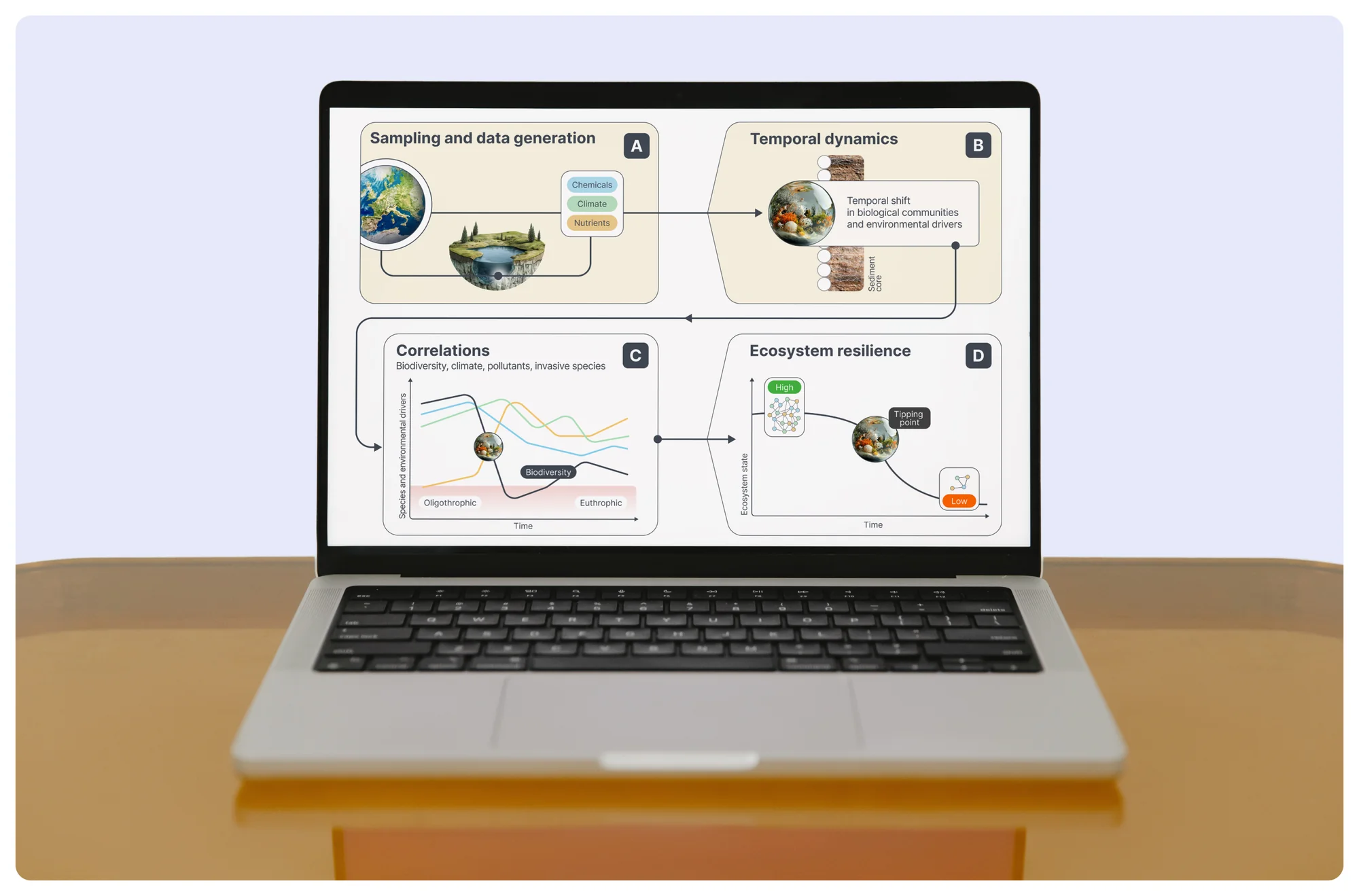 Diagrams on a laptop: sampling and data generation, temporal dynamics, correlations and ecosystem resilience