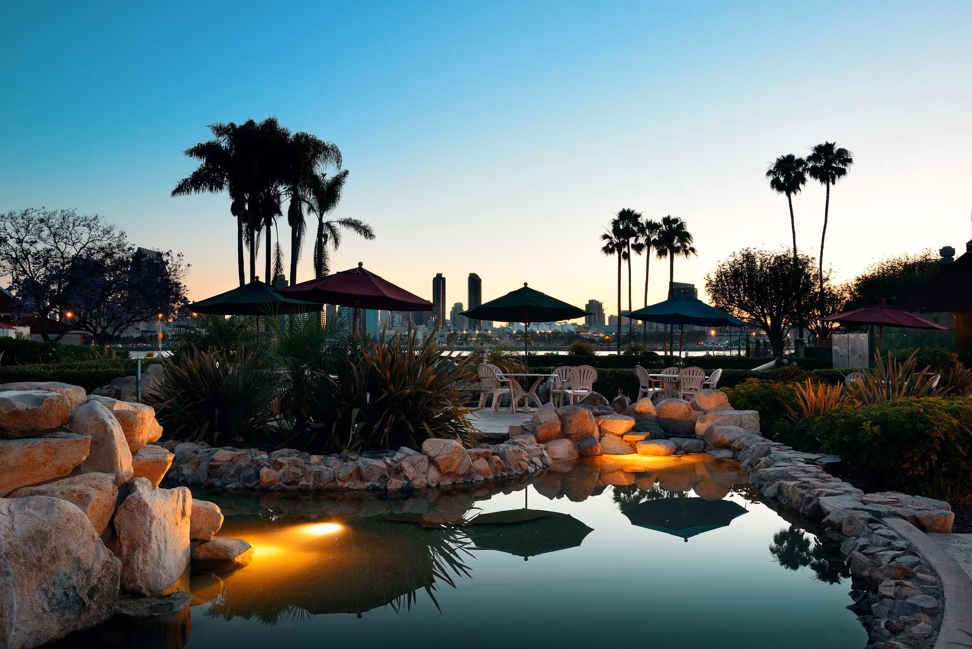 Landscaped pool and garden at dusk