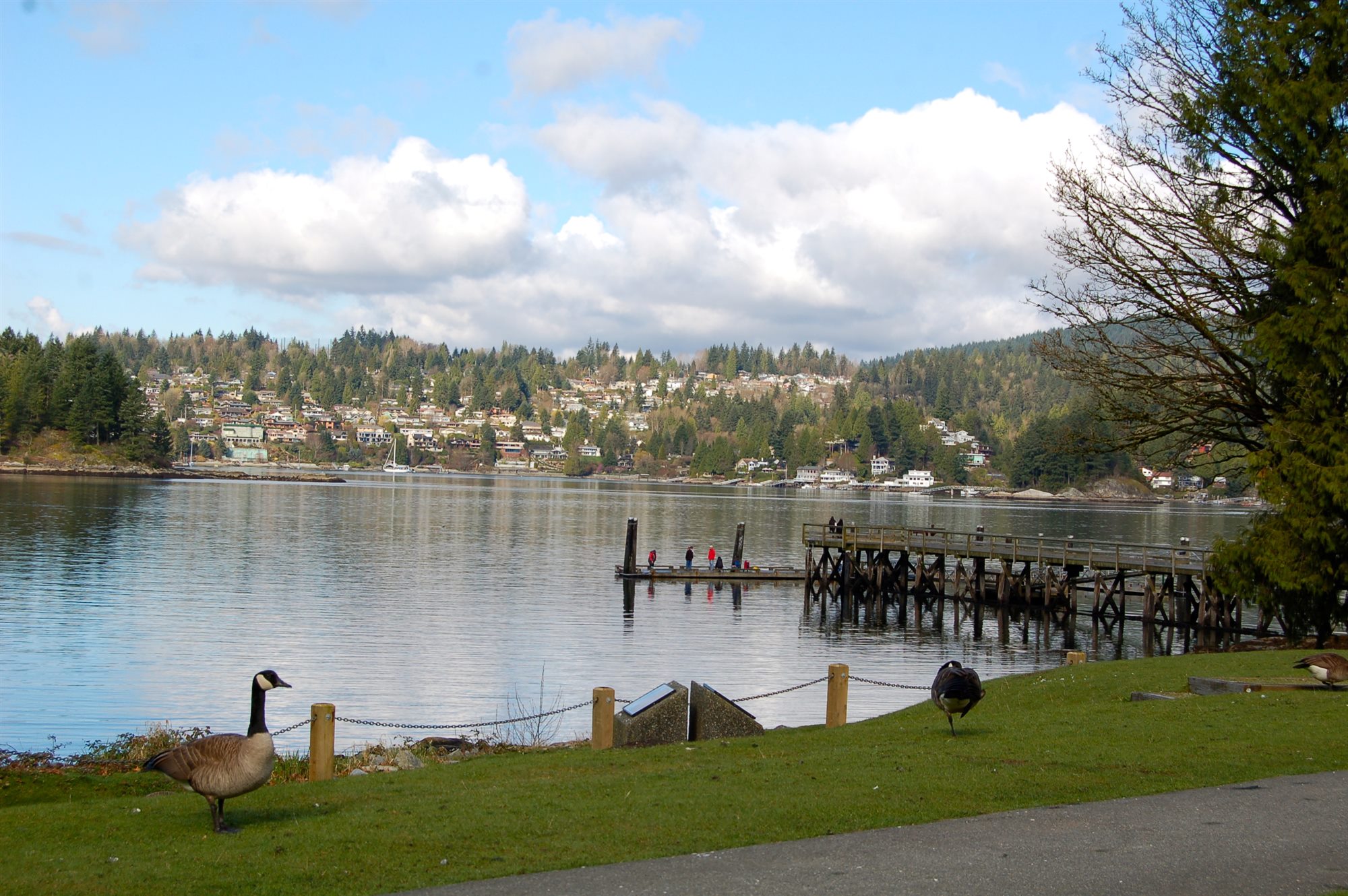 Belcarra Bay on Indian Arm
