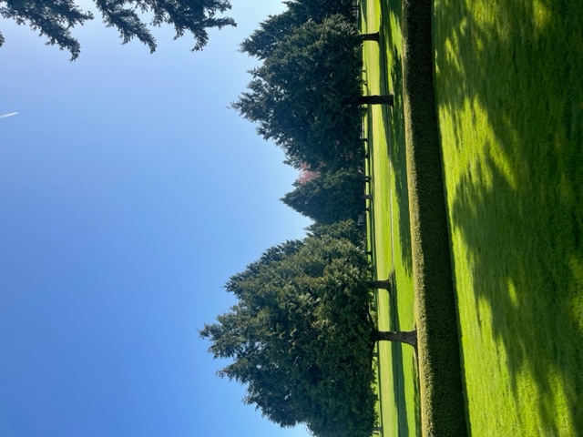 Tree-lined green space in Tsawwassen