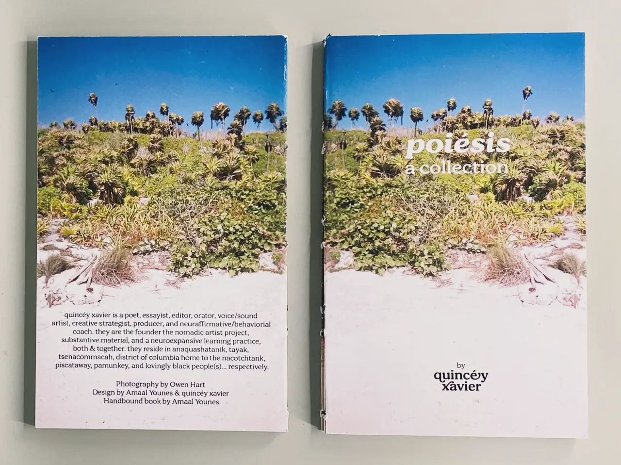 two copies side by side: the back cover with a short note about the author, and the front cover with the title, poiésis, a collection.