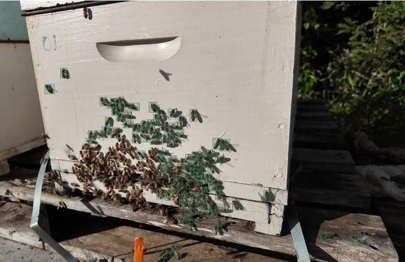 The image depicts a beehive with a cluster of bees, likely pollinating flowers, situated near a wooden structure.AI-generated content may be incorrect.