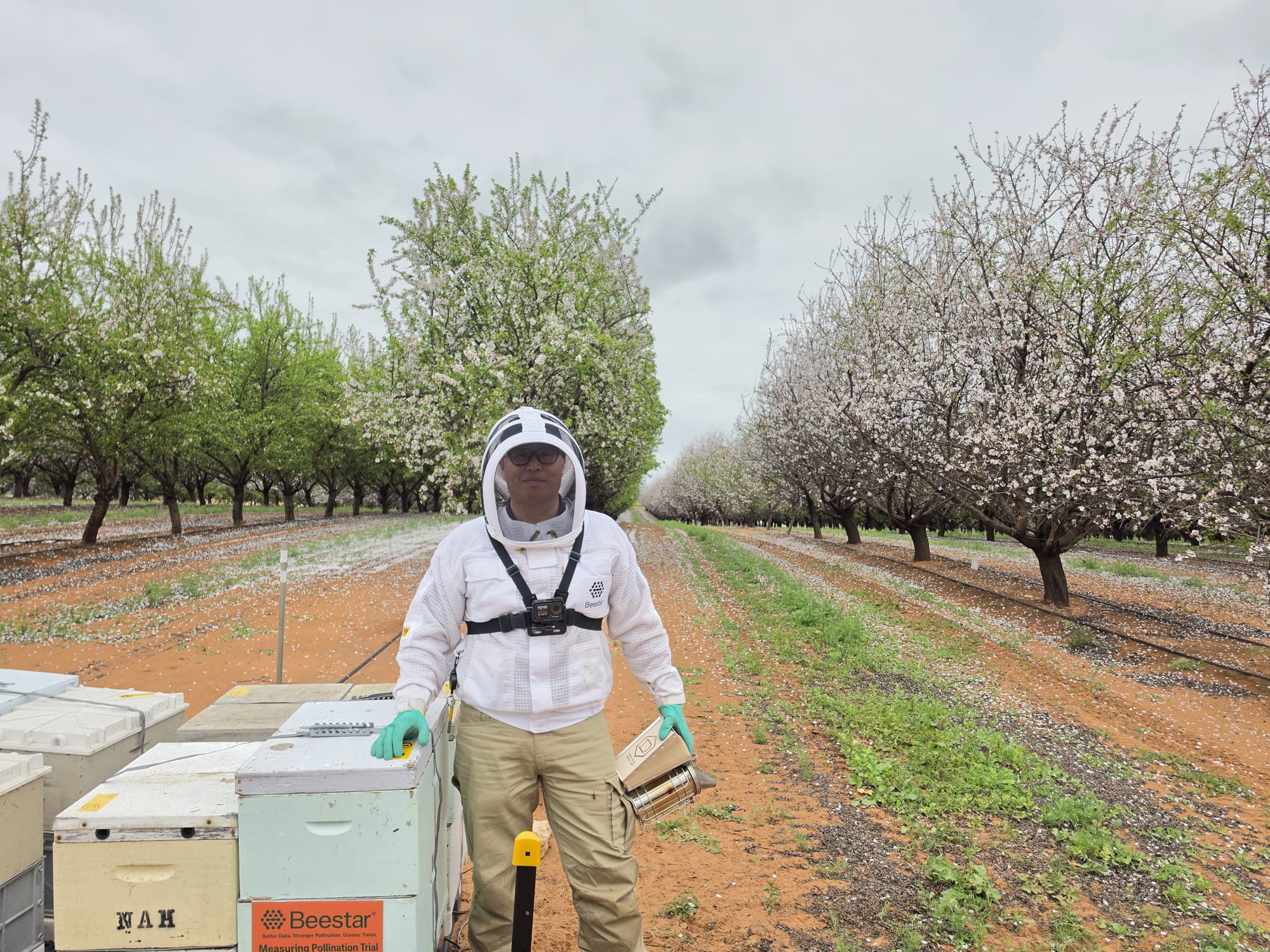 Can Pollination Be Measured? A Two State Field Experiment With the Almond Board of Australia Takes On the Question