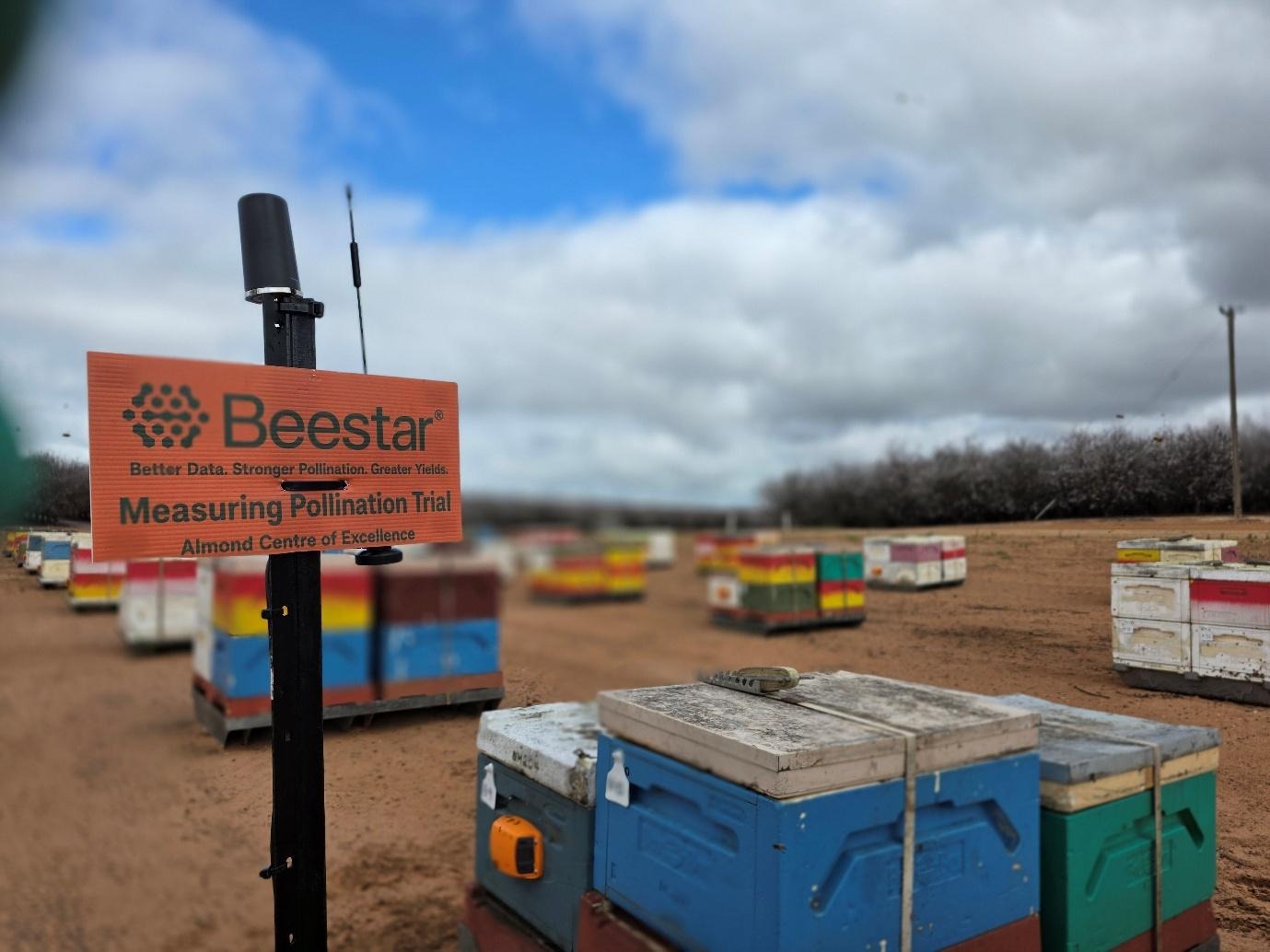 The image depicts a Beestar pollination measurement station with various bee hives arranged under a cloudy sky, with a sign indicating it is part of an Almond Centre of Excellence.AI-generated content may be incorrect.