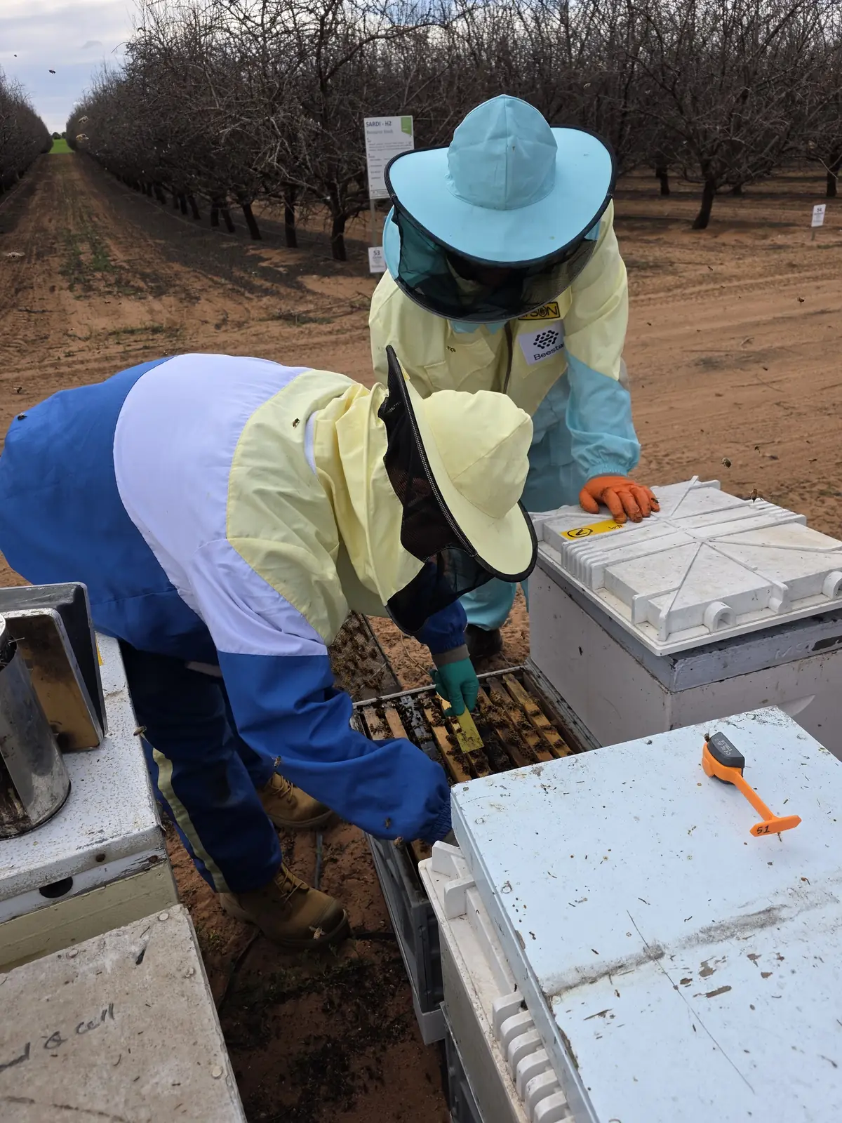 From Monitoring to Decisions: App v2.0 Redefines What Beekeeping Software Does