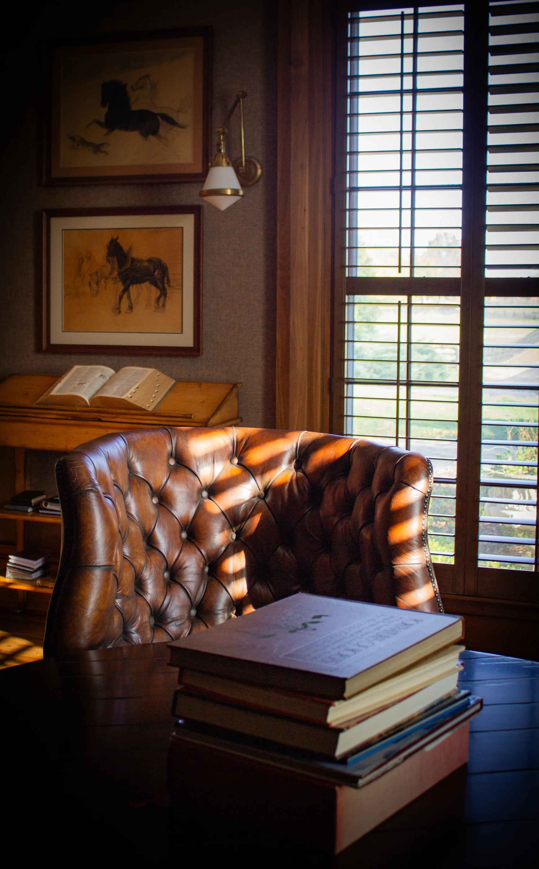 Leather chair and books in filtered sunlight at Equestrian Estate.