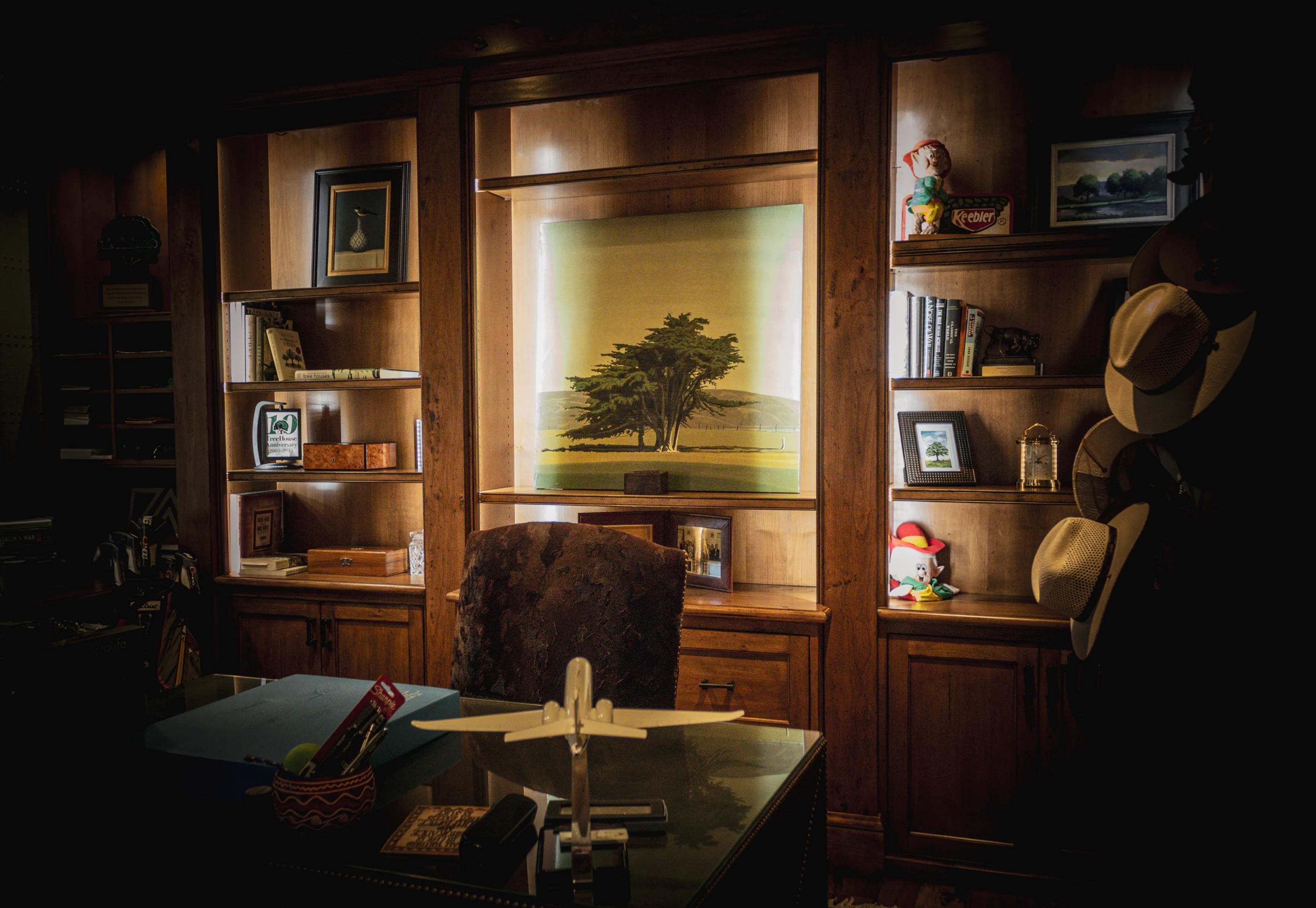 Study with illuminated timber shelving at Equestrian Estate.