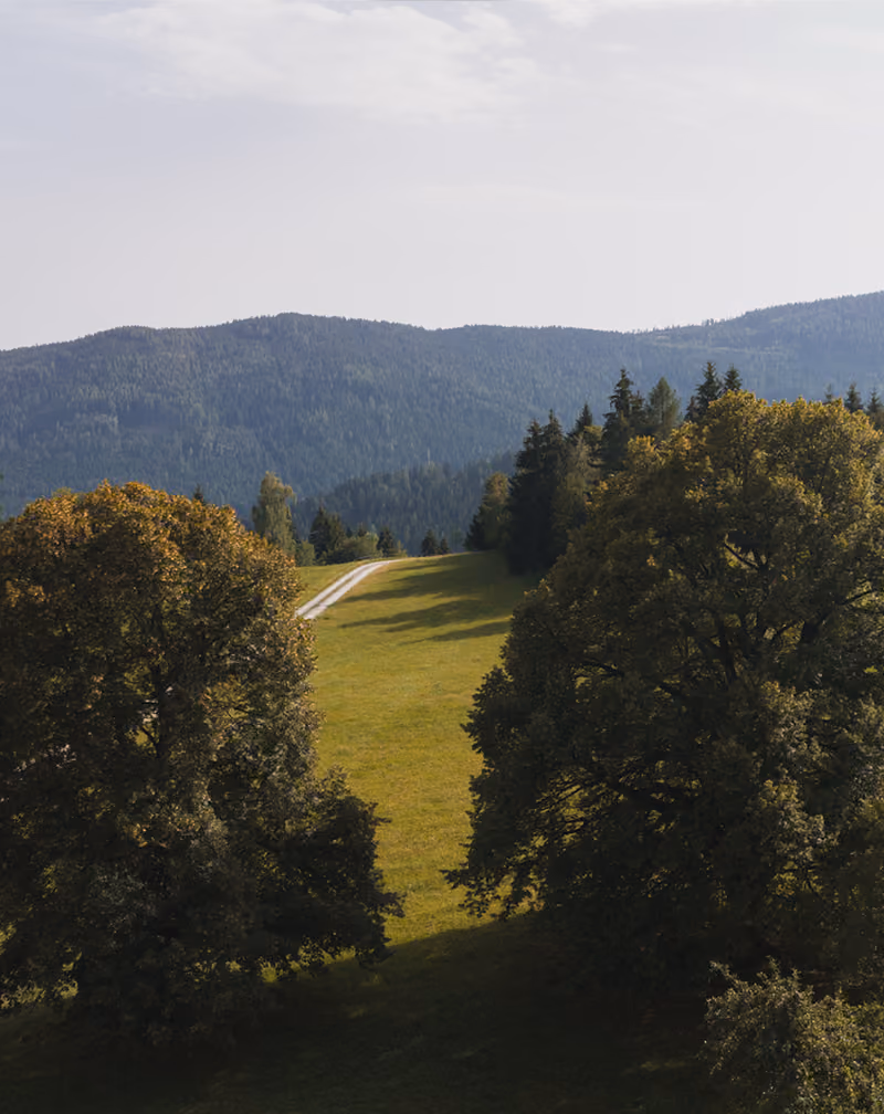 Rückzugsort am Gregorhof.