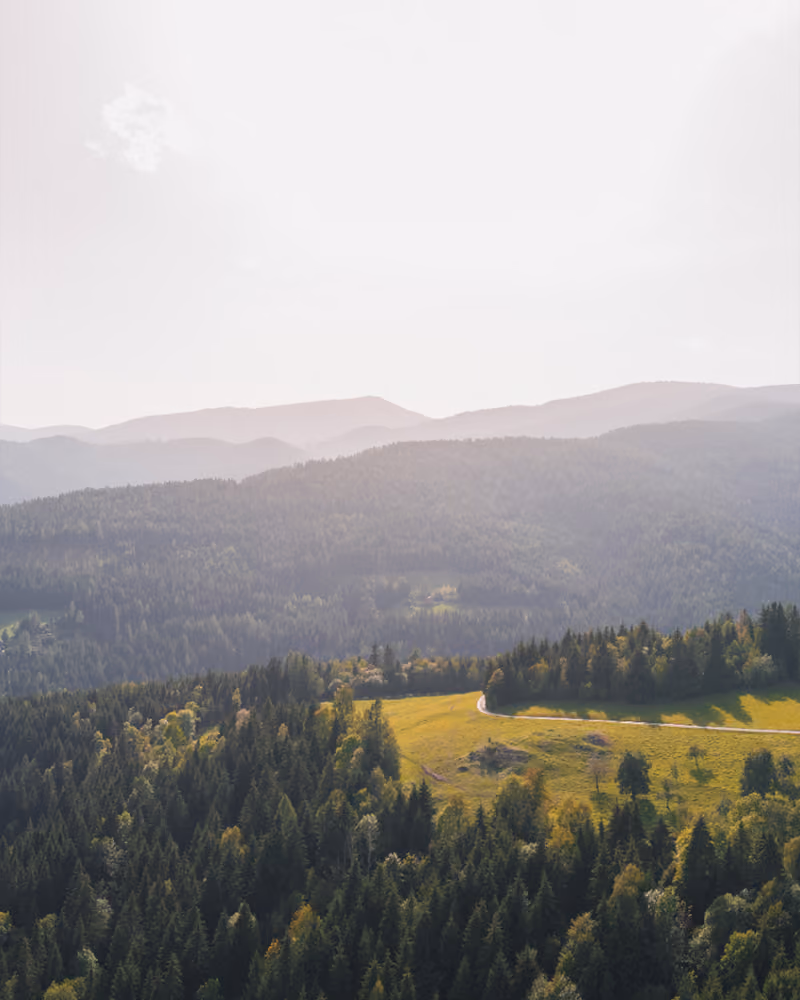 Blick auf die Berge rund um den Gregorhof.