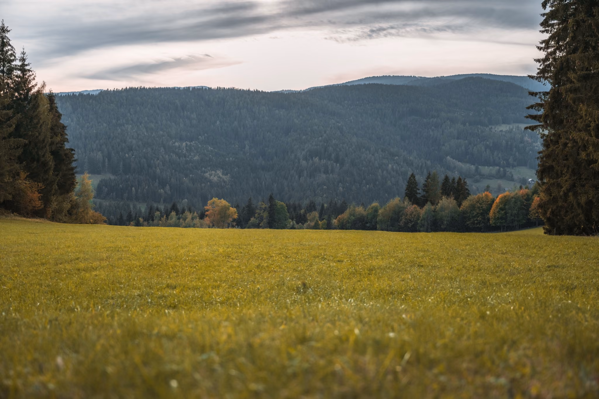 Weite Wiese am Gregorhof mit bewaldeten Bergen im Hintergrund.