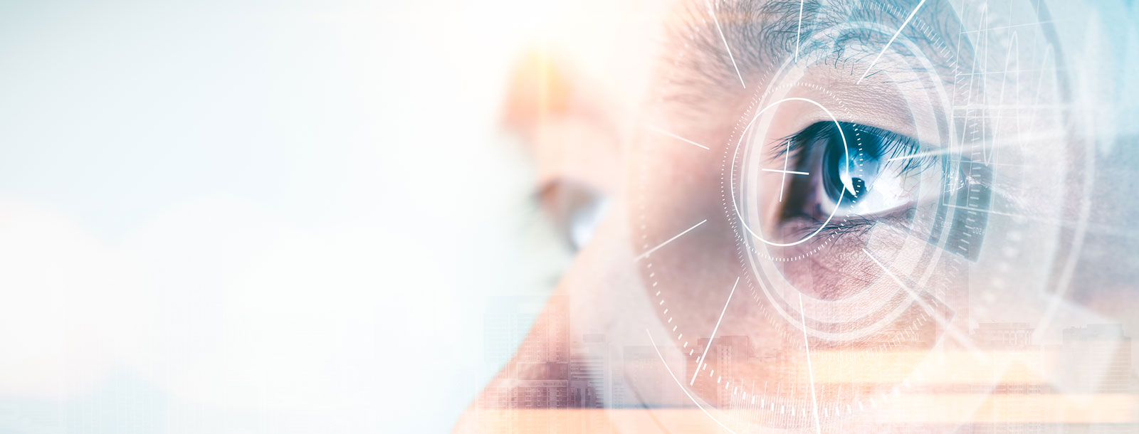 Identity Biometric Image