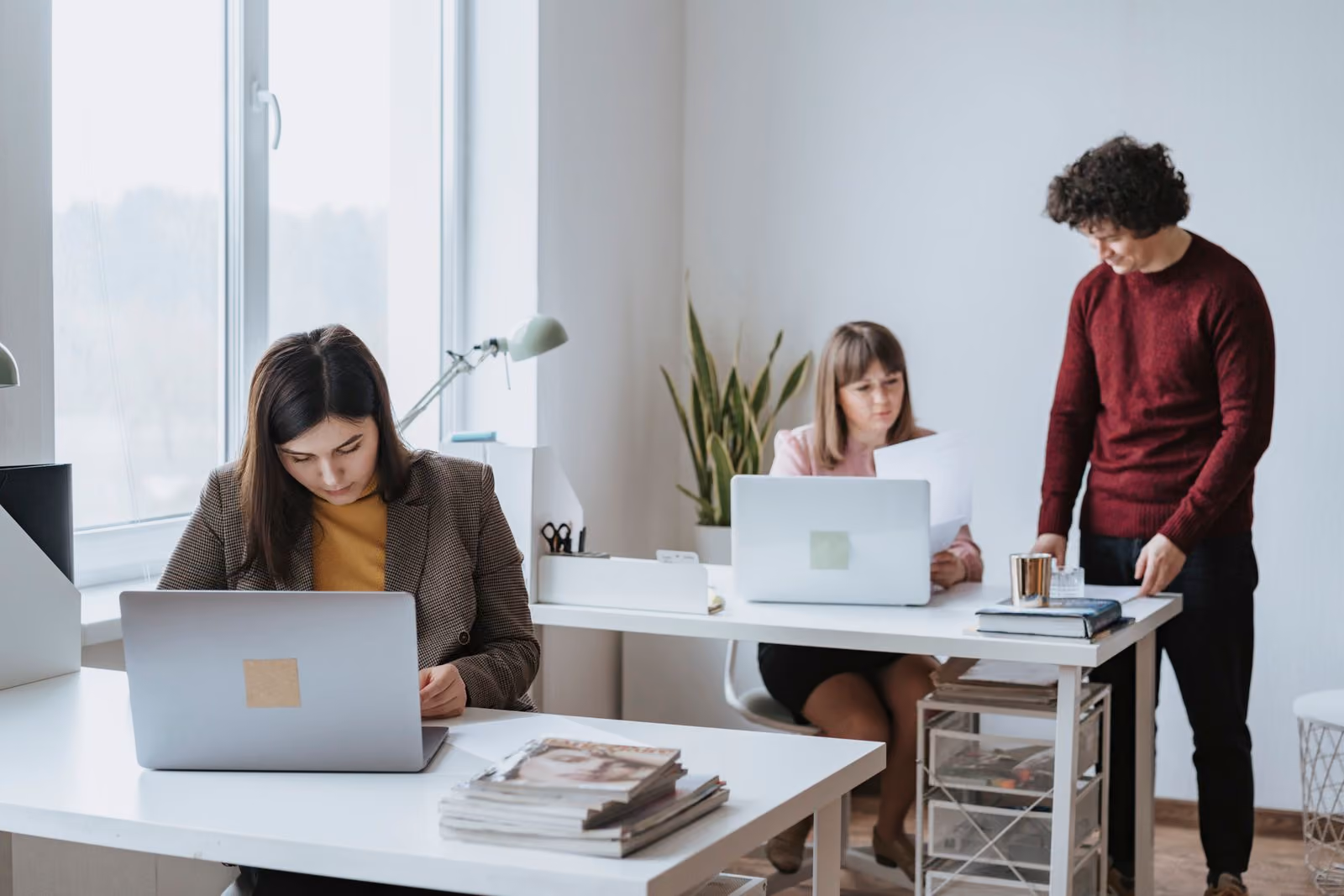 Das Proplanum-Team bei der Arbeit im Büro, Menschen an Schreibtischen und Monitoren