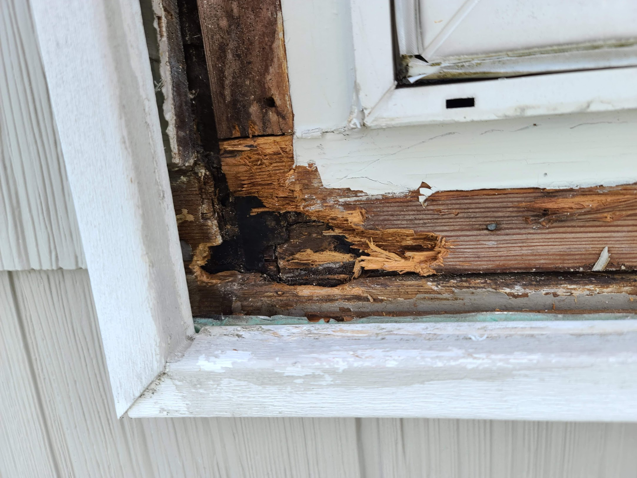 Close-up of severe wood rot and water damage on the lower corner of an exterior window frame.