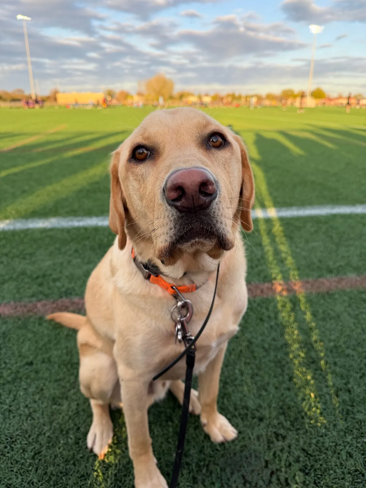 Howie