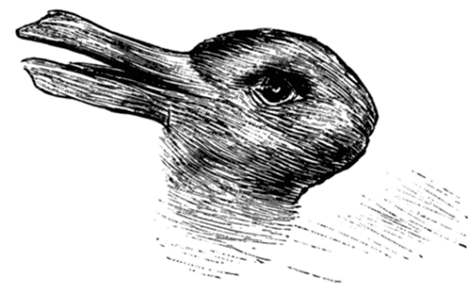 Kippbild: Hase oder Ente