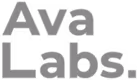 Black text reading 'Ava Labs.' on a white background.