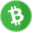 Bitcoin Cash logo with a white Bitcoin symbol featuring two vertical lines inside a green circle.