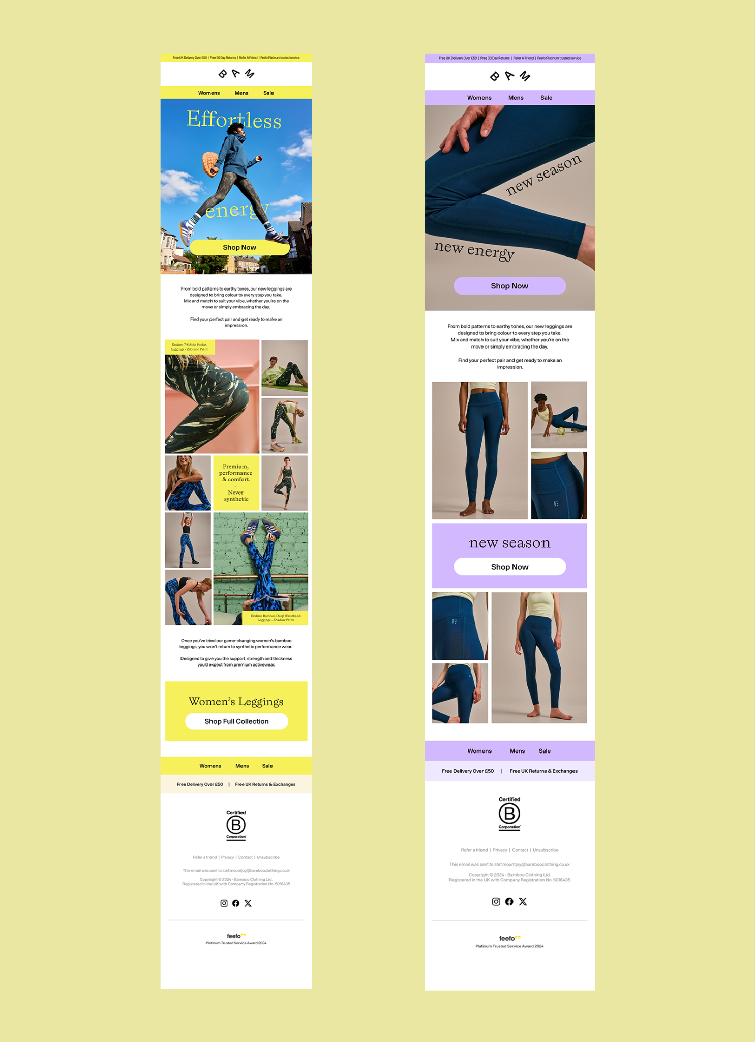 BAM email campaign design examples